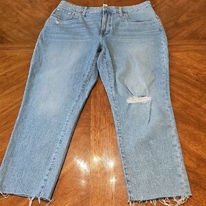 Madewell Light BNWT Fringe Curve Vintage Boho Distressed Oversize Jean Sz 32